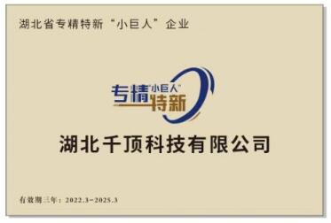 湖北省專(zhuān)精特新（小巨人）企業(yè).jpg